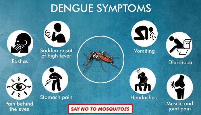 राजधानी में डेंगू का विकराल रूप,  अब तक का आंकड़ा 500 पार